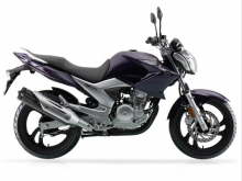 Фото Yamaha Fazer 250  №1